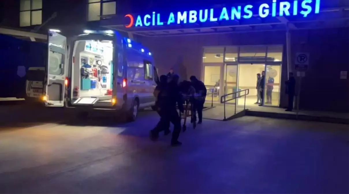 Erzincan\'da Köprüden Atlayan Kişi Ağır Yaralandı