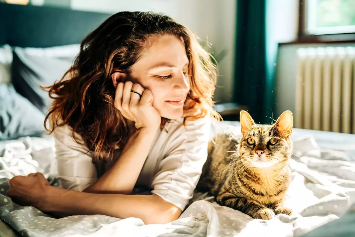 Dikkat çeken araştırma! Kediler, insanlarda kanser tedavisi için yeni ipuçları sunabilir