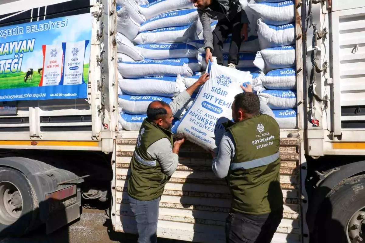 Büyükşehir\'in üreticilere yem desteği devam ediyor
