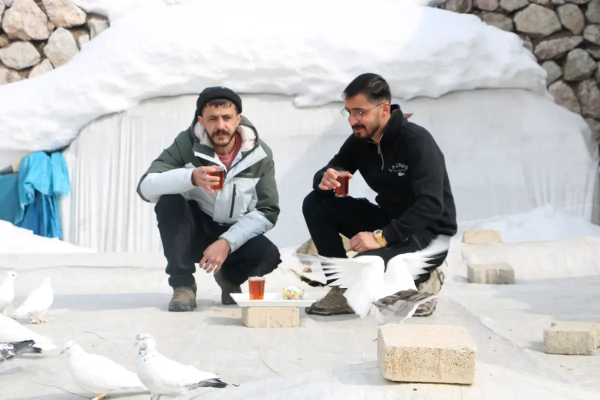 20 Yıldır Güvercin Besliyor