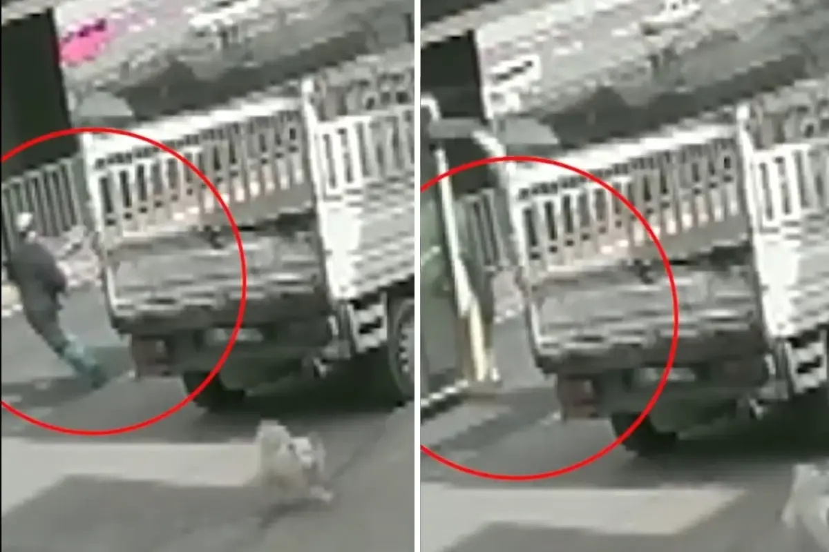 İnfial yaratan olay sonrası açıklama geldi: CHP\'li belediyenin yetki alanında