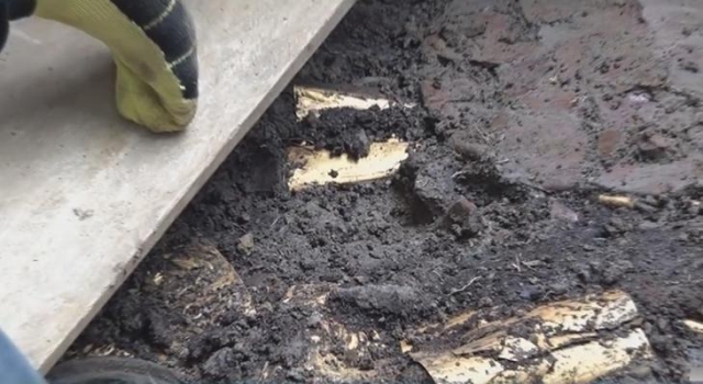 Kazmayı vurdukları mezardan altın fışkırdı