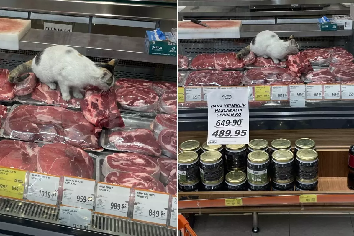 Zincir markette akılalmaz görüntü