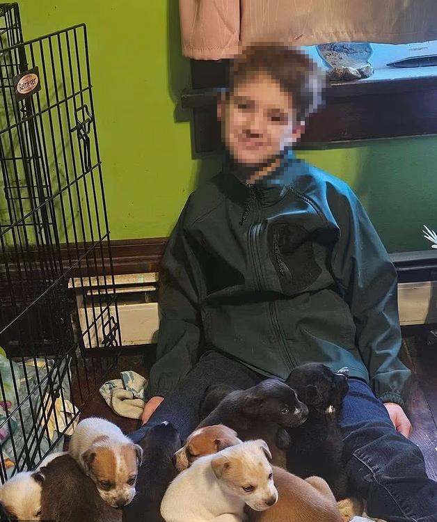 11 yaşındaki çocuk oyun konsolunu elinden alan babasını silahla öldürdü 11 yaşındaki çocuk oyun konsolunu elinden alan babasını silahla öldürdü