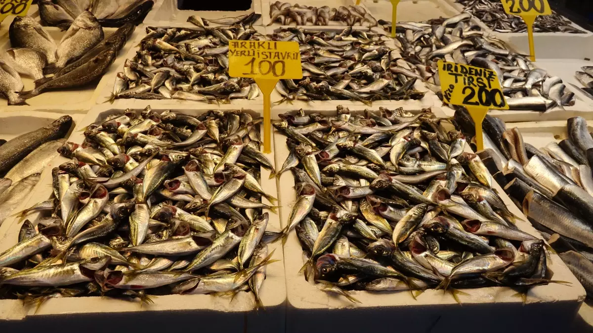 Trabzon\'da Ramazan\'da Balık Satışları Düşük