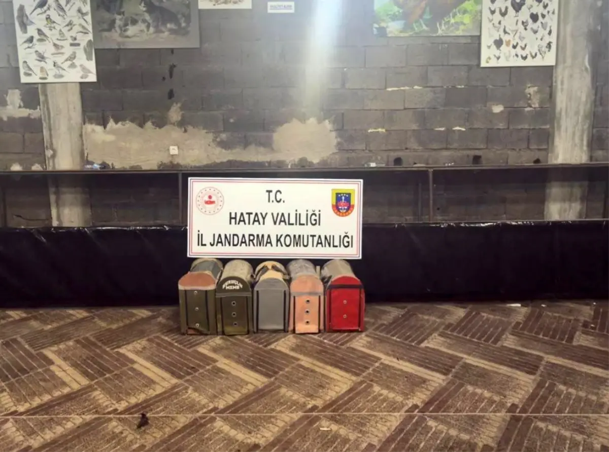 Horoz Dövüşüne 76 Kişiye Cezalar