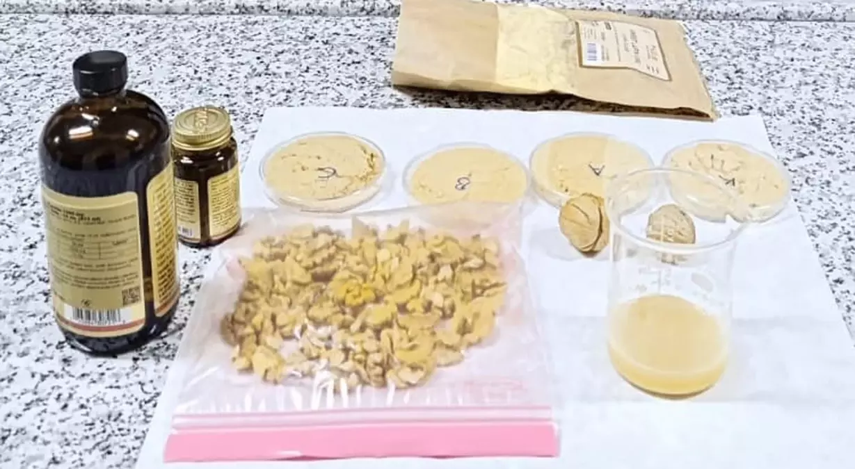 Vegan Sporculara Özel Ürün Geliştirildi