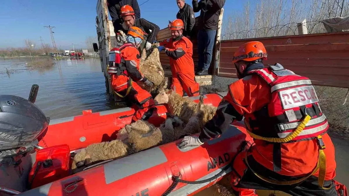 Edirne\'de taşan su seviyesi yer yer 2.5 metreye yükseldi, tahliyeler sürüyor