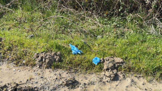 Film gibi cinayetin detayları! Paranın peşine düşüp Çin'den İstanbul'a gelmişler