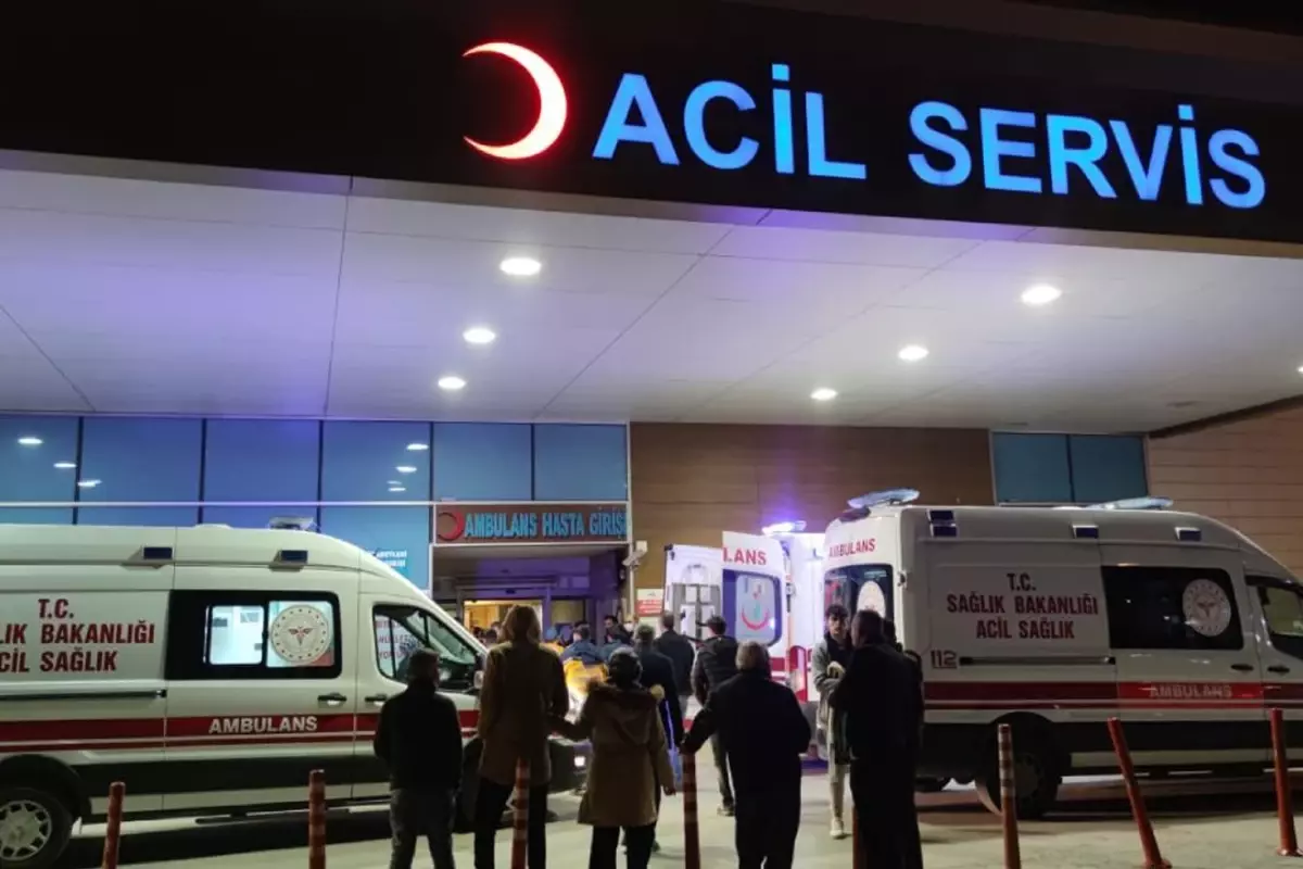 "İstanbul\'da kuduz vakalarında patlama" iddialarına valilikten yanıt