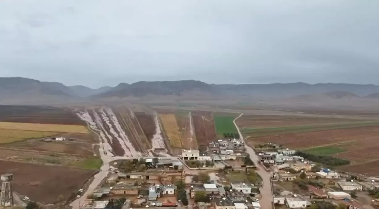 Mardin\'de Yağışlar Tarımda Bereket Getirdi