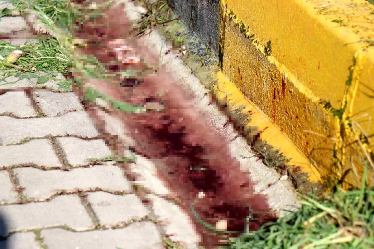 Sakarya\'da Çifti Facia Sonuçlandı