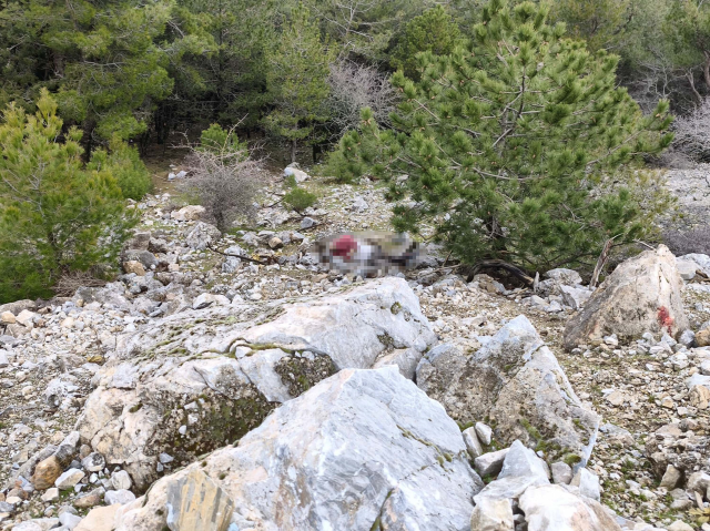Uçurumdaki cesedin sırrı çözüldü! En yakınları gözaltında Uçurumdaki cesedin sırrı çözüldü! En yakınları gözaltında