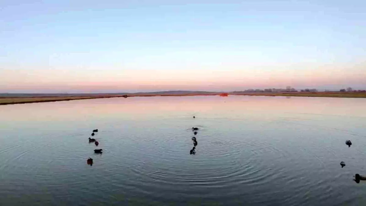 Edirne\'de Kaçak Avcılara Dev Ceza