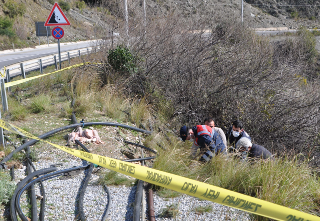 Bahçe sulamaya giden çiftçiler korkunç manzarayla karşılaştı