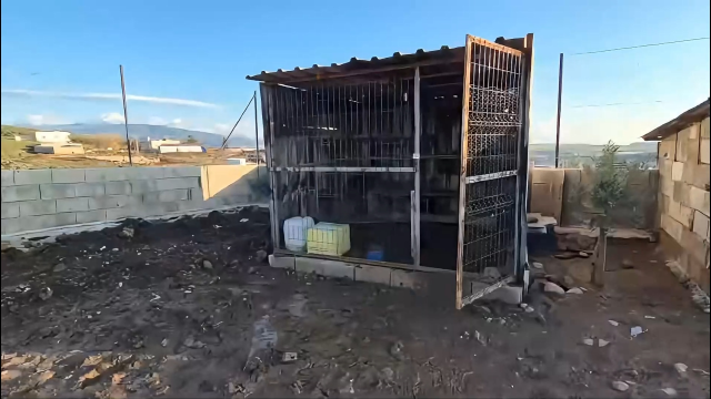 Hobi bahçesine giren 3 çocuk, 25 güvercini çalıp kaçtı