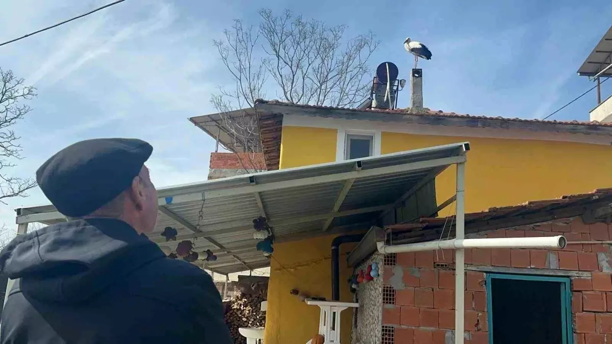 Leylek köyünde büyük sevinç: Eşi geldi, herkes Yaren\'i bekliyor