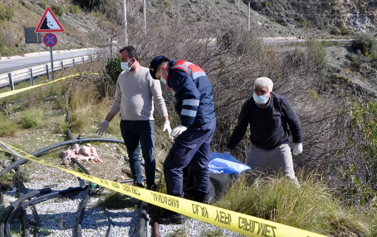 Bahçe sulamaya giden çiftçiler korkunç manzarayla karşılaştı