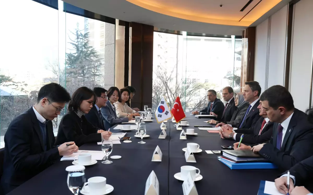 Türkiye-Güney Kore Enerji İşbirliği Toplantısı