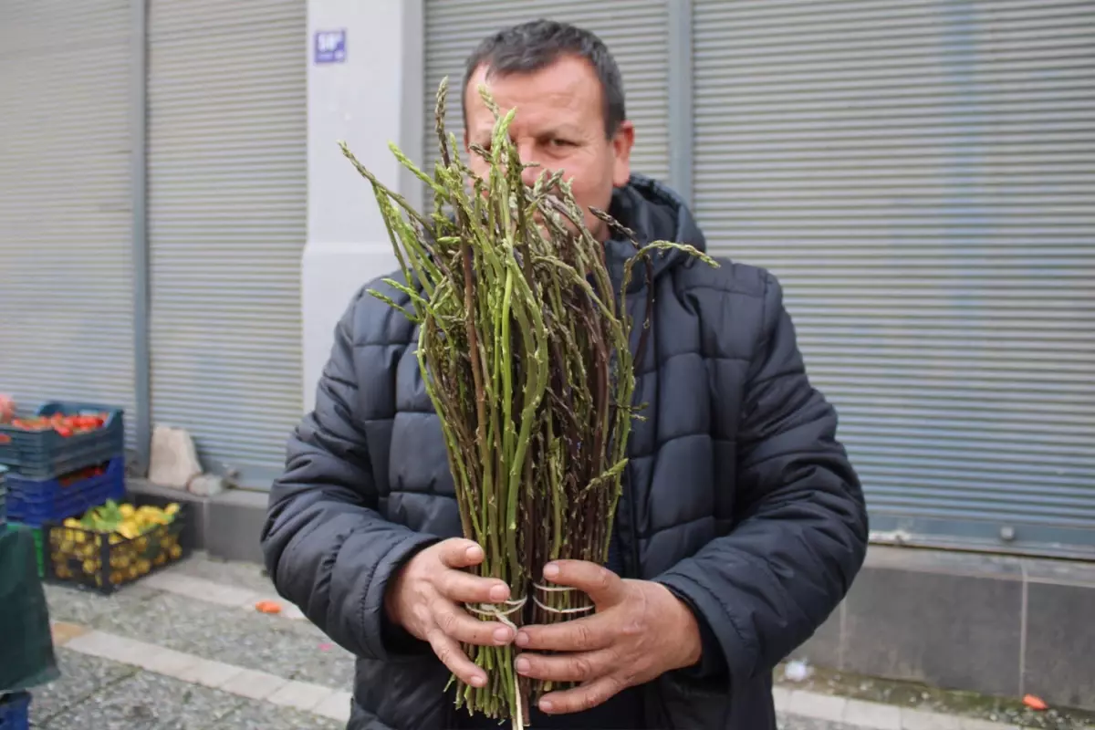 Halk arasında \'acı ot\' diye biliniyor, faydaları saymakla bitmiyor