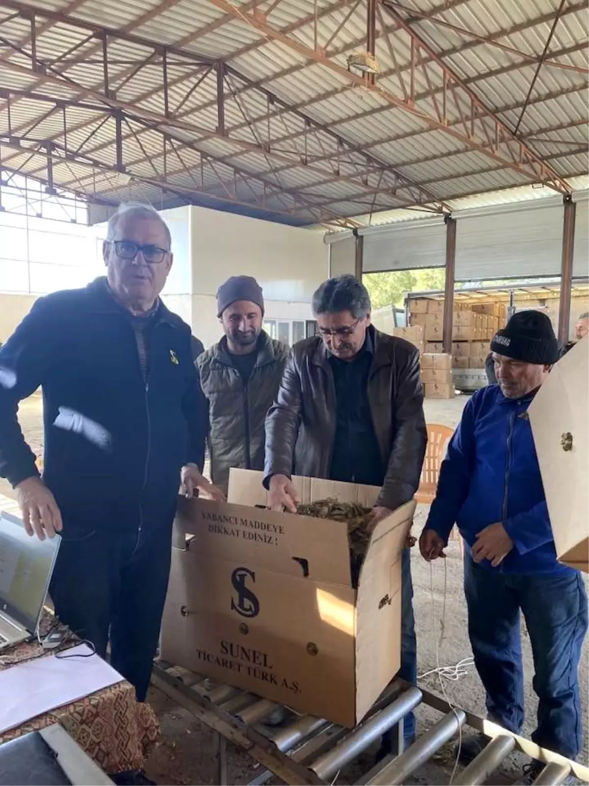 Karacasu\'da tütünler paketlenmeye başladı, üretici fiyatlardan dert yandı