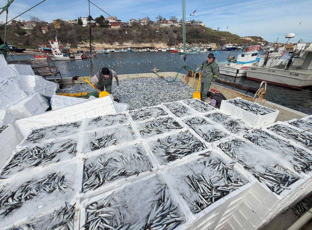 Kırklarelili balıkçılar, Karadeniz'de 6 saatte 30 ton hamsi avladı Kırklarelili balıkçılar, Karadeniz'de 6 saatte 30 ton hamsi avladı