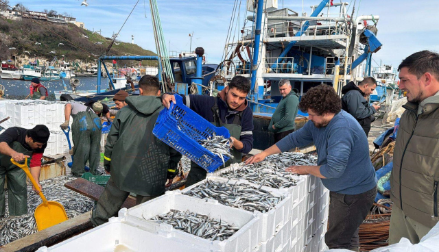 Kırklarelili balıkçılar, Karadeniz'de 6 saatte 30 ton hamsi avladı Kırklarelili balıkçılar, Karadeniz'de 6 saatte 30 ton hamsi avladı
