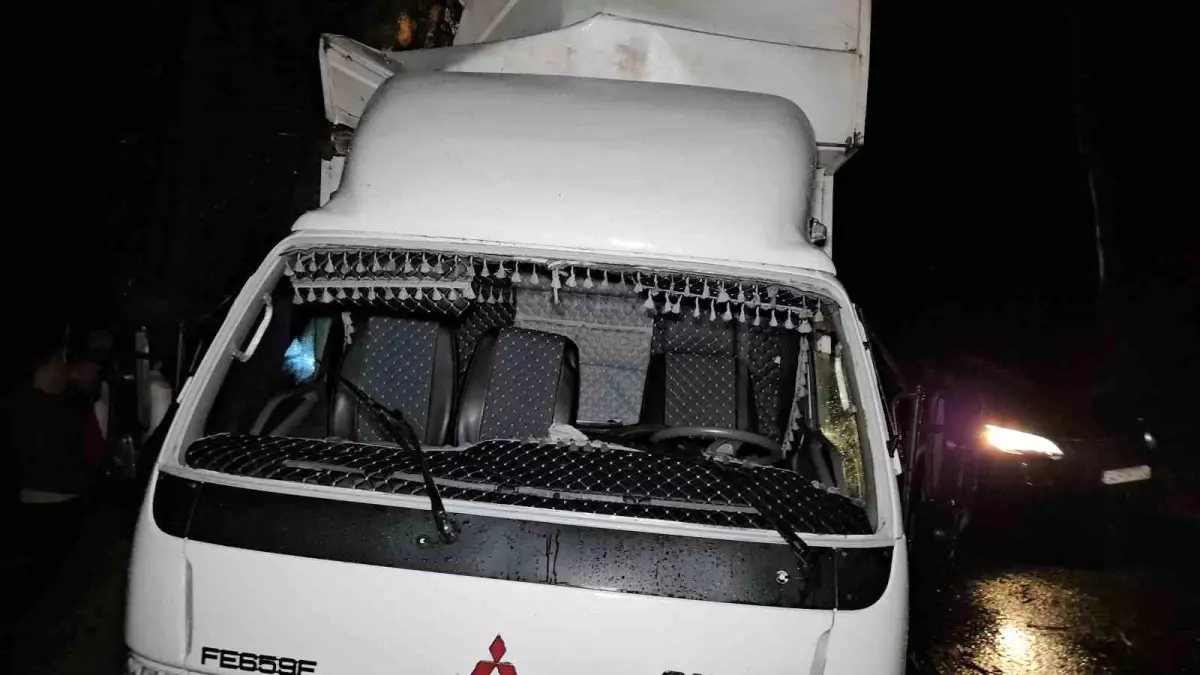 Sarıyer\'de Kamyonet Ağaca Çarptı