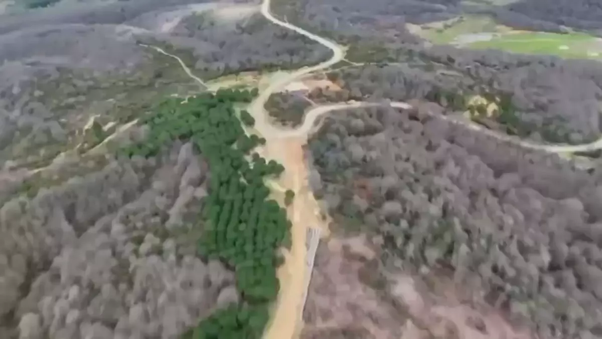 Çalışanını elektrikli testereyle ağır yaralayan çiftlik sahibi ormanlık alanda yakalandı