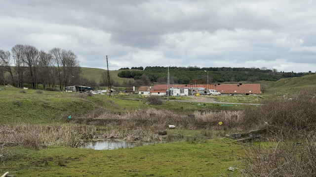 Arnavutköy'de elektrikli testereli saldırı: Çiftlik evinde dehşet
