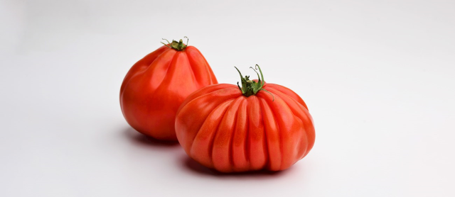 Bir ilçemizin domatesi dünyanın en iyileri arasına girdi