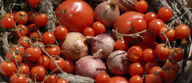 Bir ilçemizin domatesi dünyanın en iyileri arasına girdi