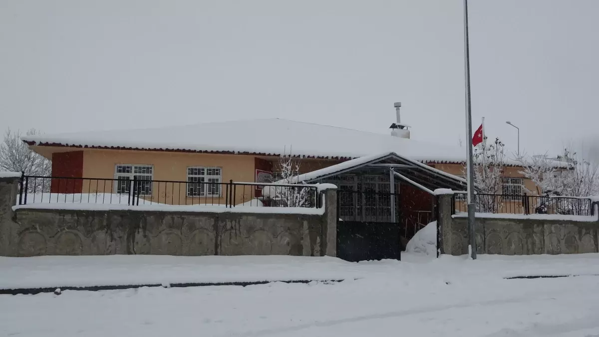 Bitlis\'te Kar Yağışı Etkili