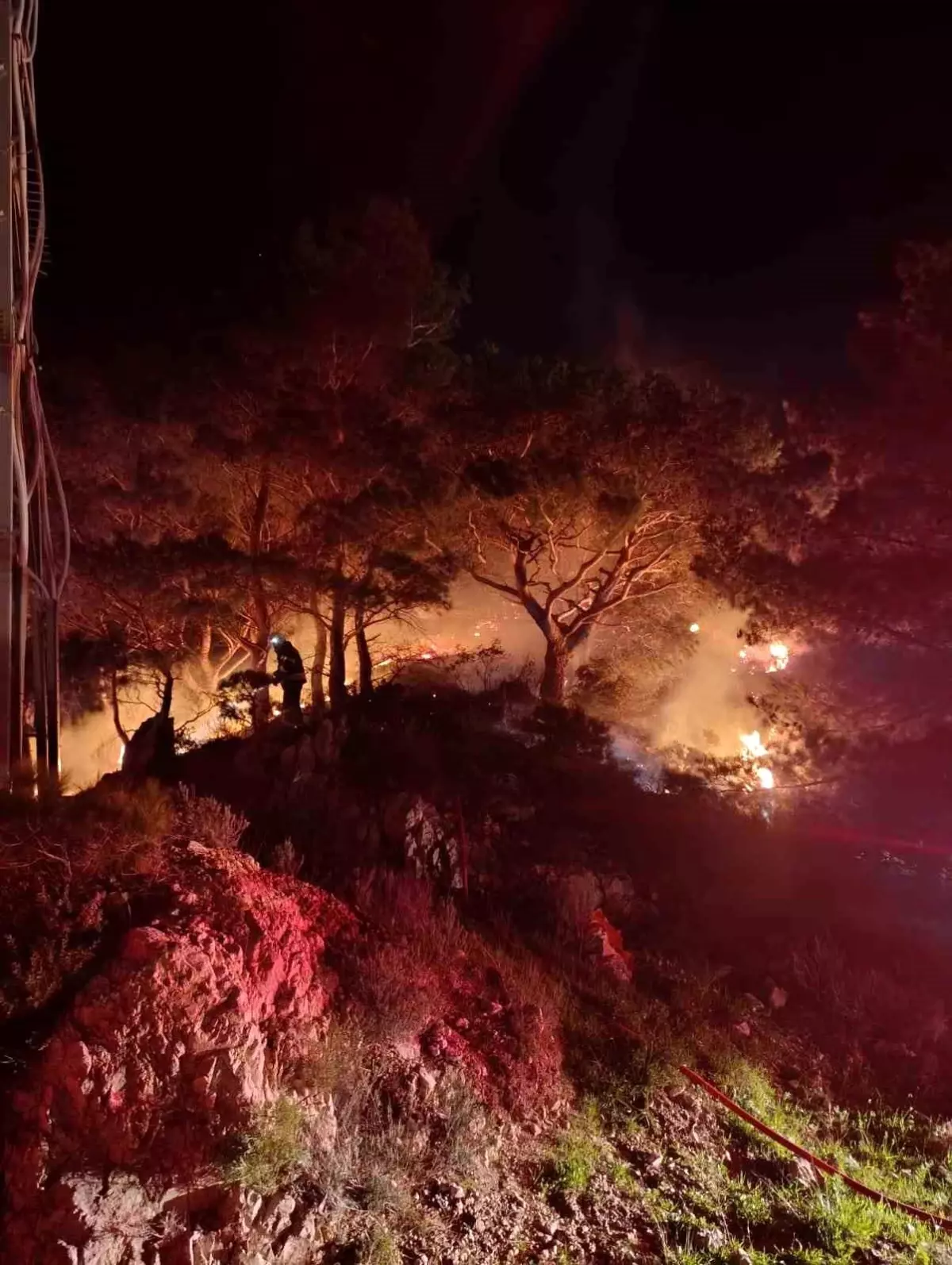 Bodrum\'da ormanlık alanda yangın: 2 dönüm alan zarar gördü