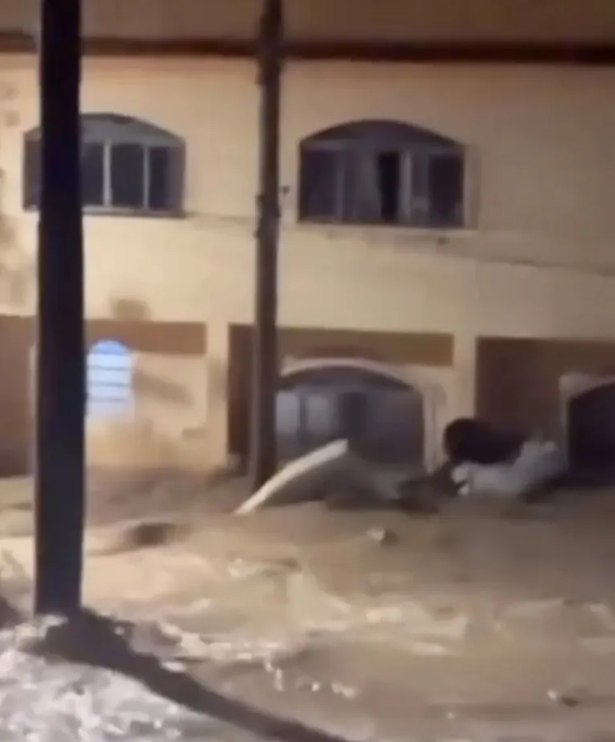 Brezilya'da şiddetli yağmurlar felakete yol açtı: Yüzlerce tabut sokaklarda sürüklendi Brezilya'da şiddetli yağmurlar felakete yol açtı: Yüzlerce tabut sokaklarda sürüklendi