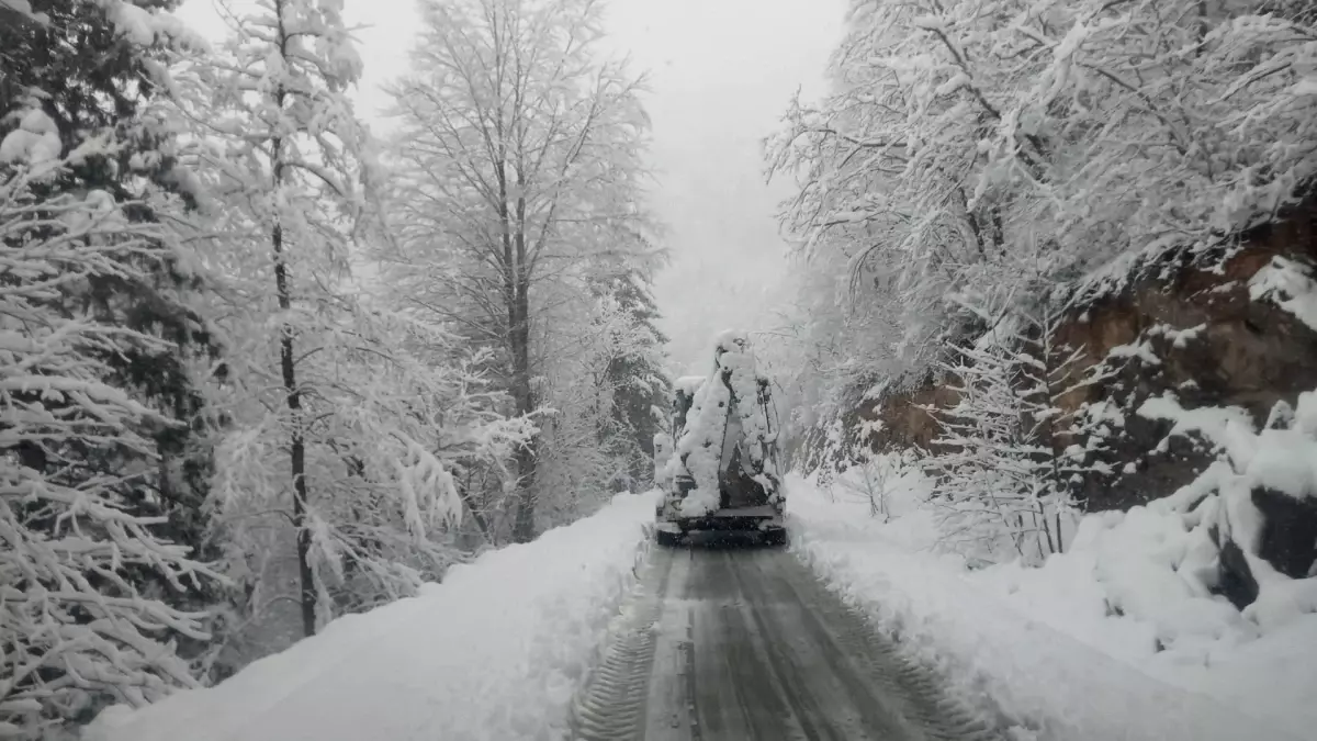 Doğu Karadeniz\'de Kar Yağışı: 371 Yol Kapandı
