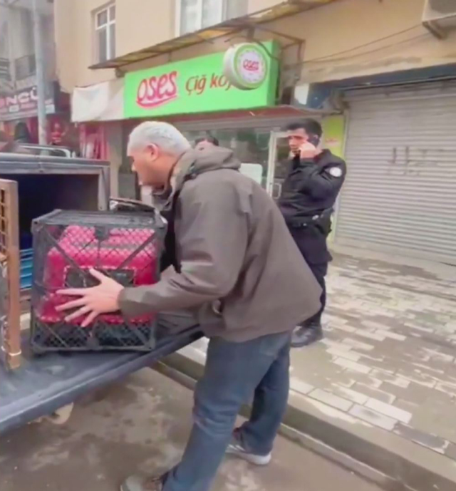 İstanbul'da çatıdan çatıya atlayan maymun ortalığı birbirine kattı