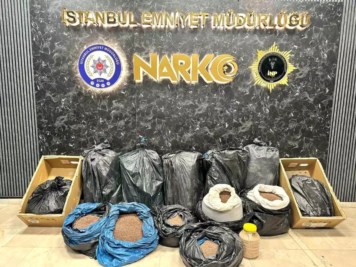 İstanbul\'da kahveye emdirilmiş 374 kilo 600 gram uyuşturucu madde ele geçirildi
