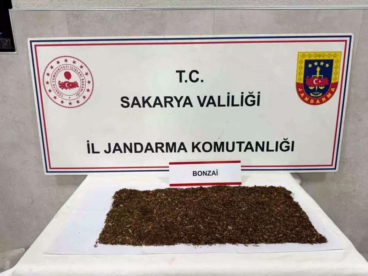 Sakarya\'da Uyuşturucu Operasyonu: 1 Tutuklama