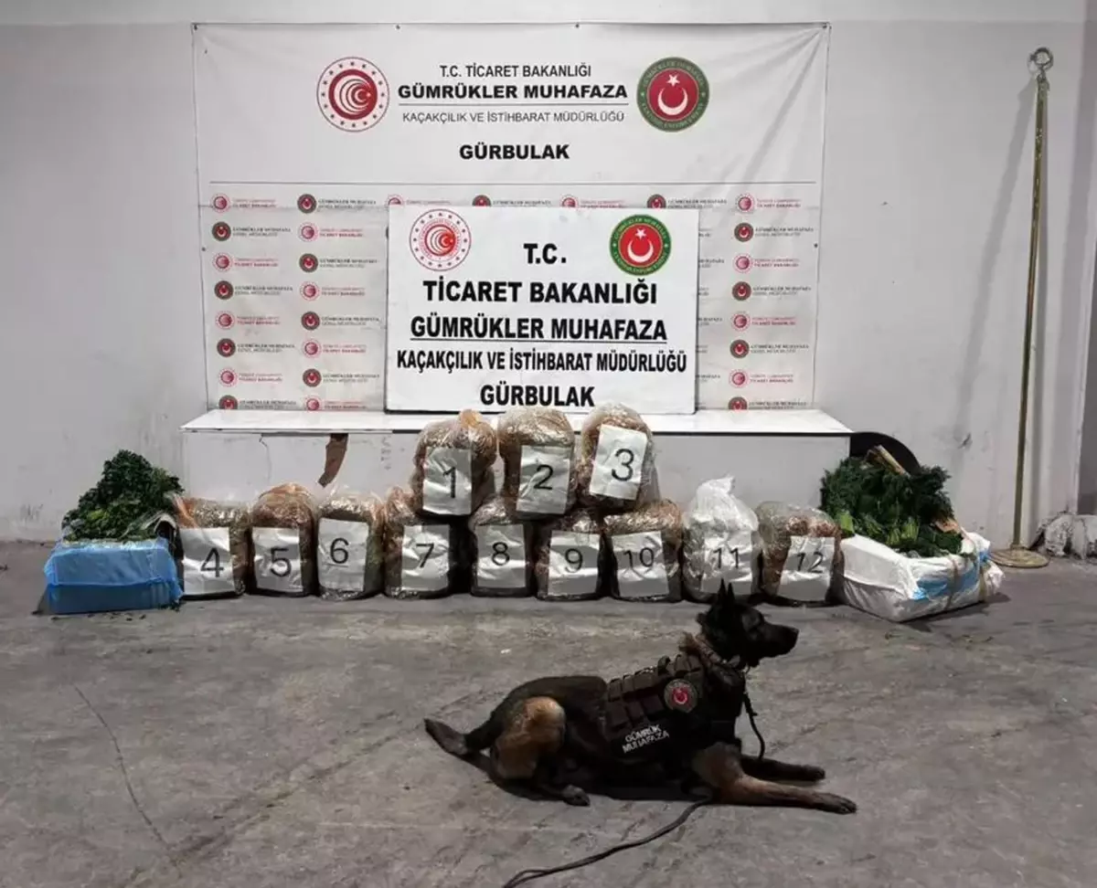 İran\'dan Gelen TIR\'da 51 Kilo Esrar Ele Geçirildi