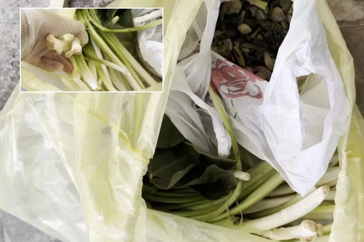 Pazardan aldı, zehir çıktı! Ağzına bir lokma alan doktor fenalaştı