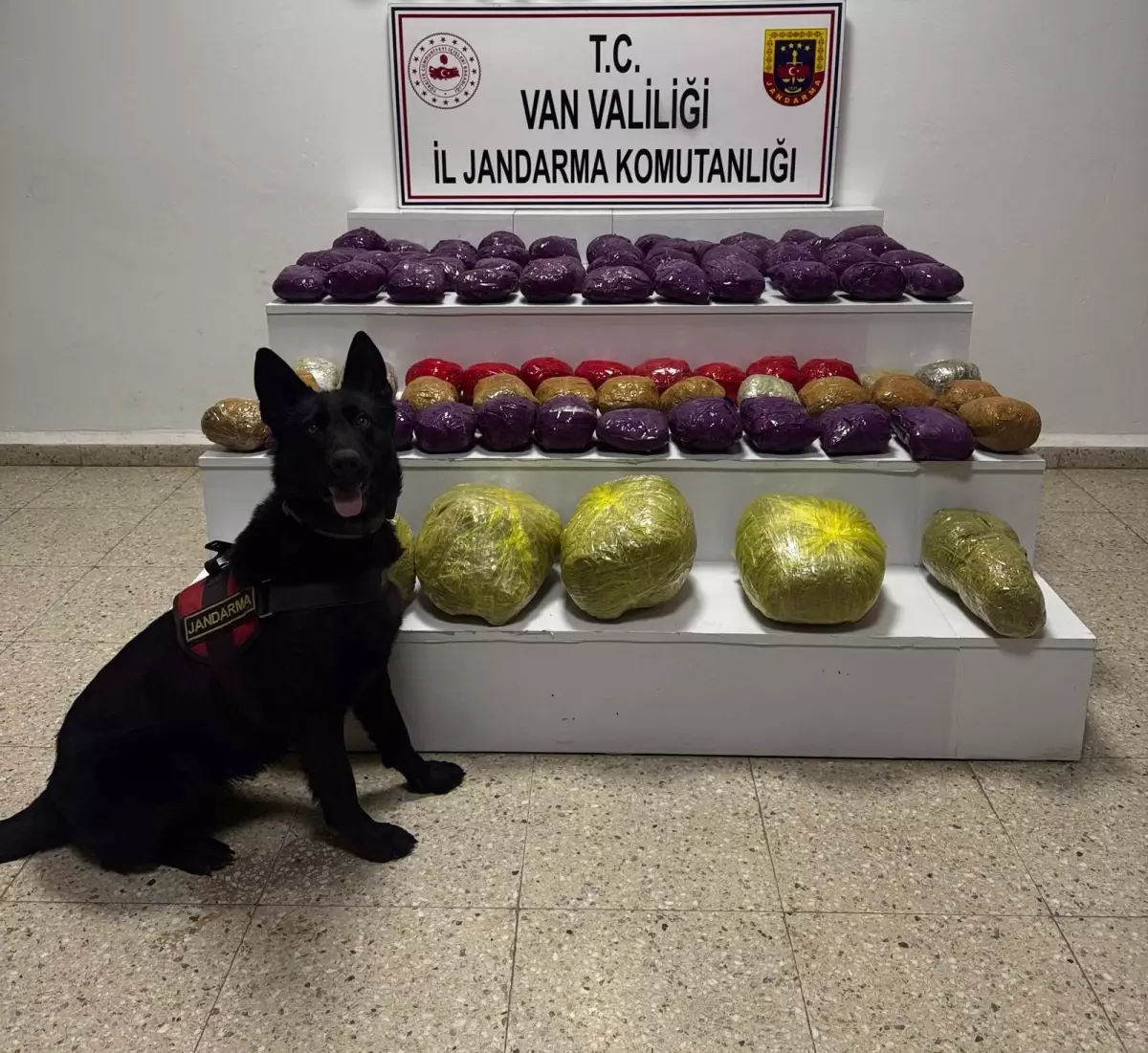 VAN\'da Uyuşturucu Operasyonu: 30 Kilo Skunk Ele Geçirildi