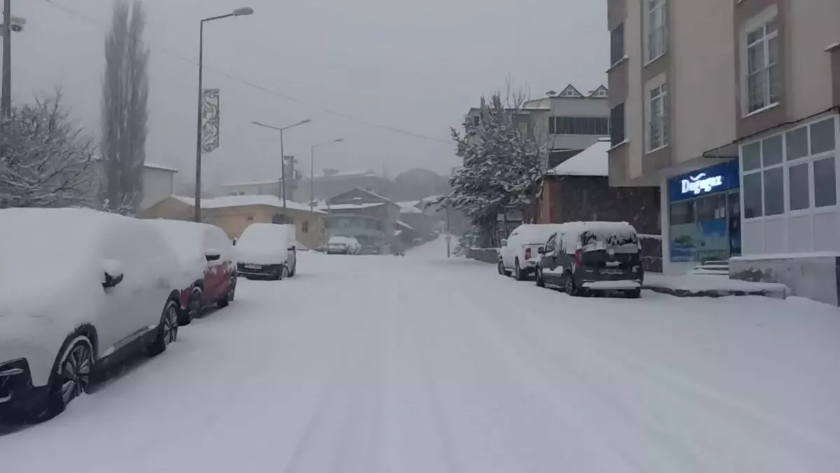 Posof\'ta Ilgar Geçidi Ulaşıma Kapandı