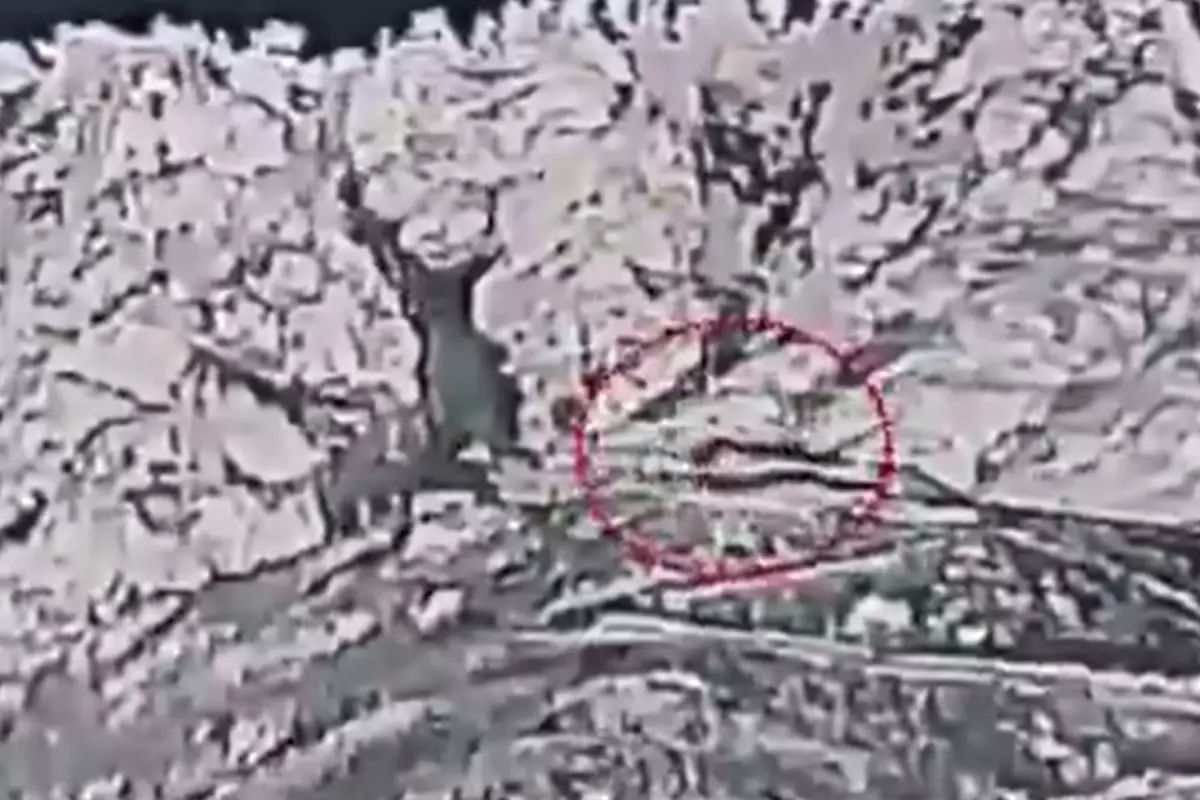 Pakistan ordusunun Afganistan\'a yağdırdığı bombalar havadan görüntülendi