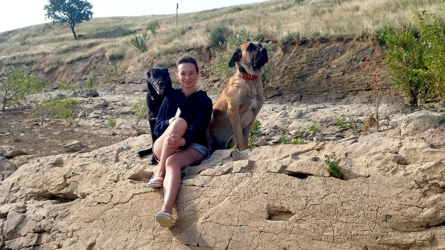 Rus sahipleri, kaybolan köpeklerini sokak sokak arıyor: Canlı bulana 100 bin, ölü bulana 10 bin ödül Rus sahipleri, kaybolan köpeklerini sokak sokak arıyor: Canlı bulana 100 bin, ölü bulana 10 bin ödül