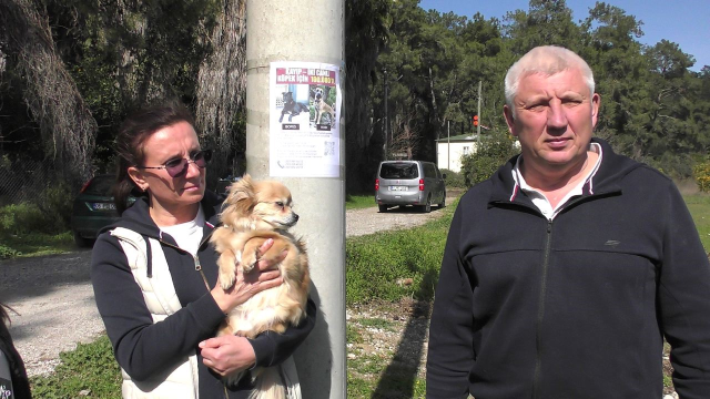 Rus sahipleri, kaybolan köpeklerini sokak sokak arıyor: Canlı bulana 100 bin, ölü bulana 10 bin ödül Rus sahipleri, kaybolan köpeklerini sokak sokak arıyor: Canlı bulana 100 bin, ölü bulana 10 bin ödül