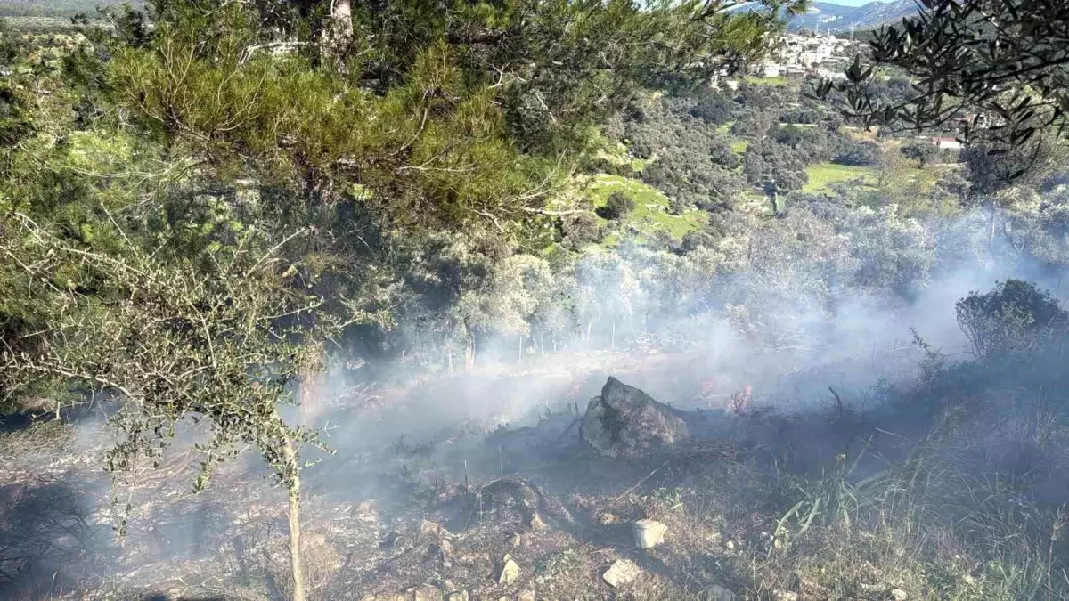 Bodrum\'da Temizlik Ateşi Yangına Döndü