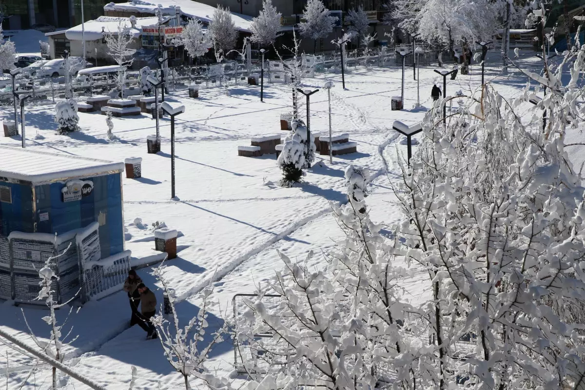 Van\'da Kar Nedeniyle Ulaşım ve Okullara Ara