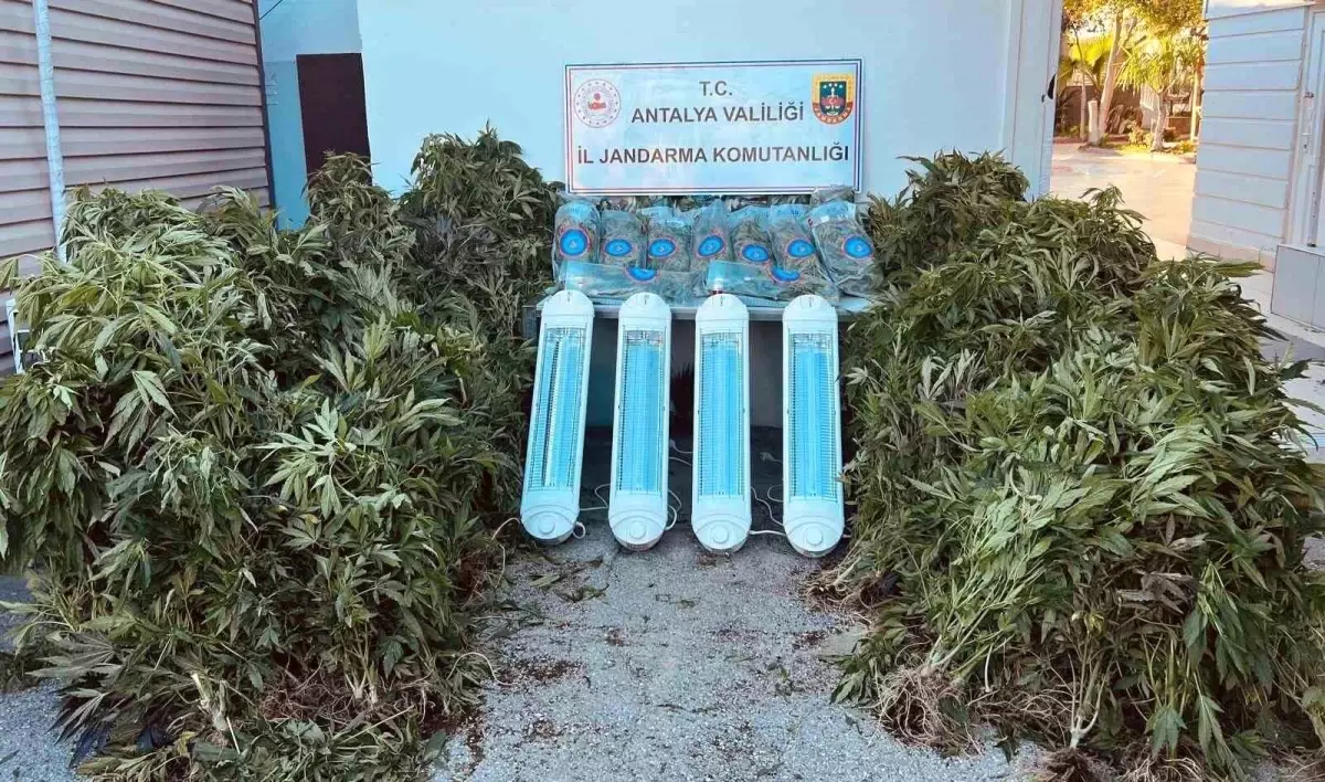 Antalya\'da Uyuşturucu Operasyonu: 23 Kilo Skunk Ele Geçirildi