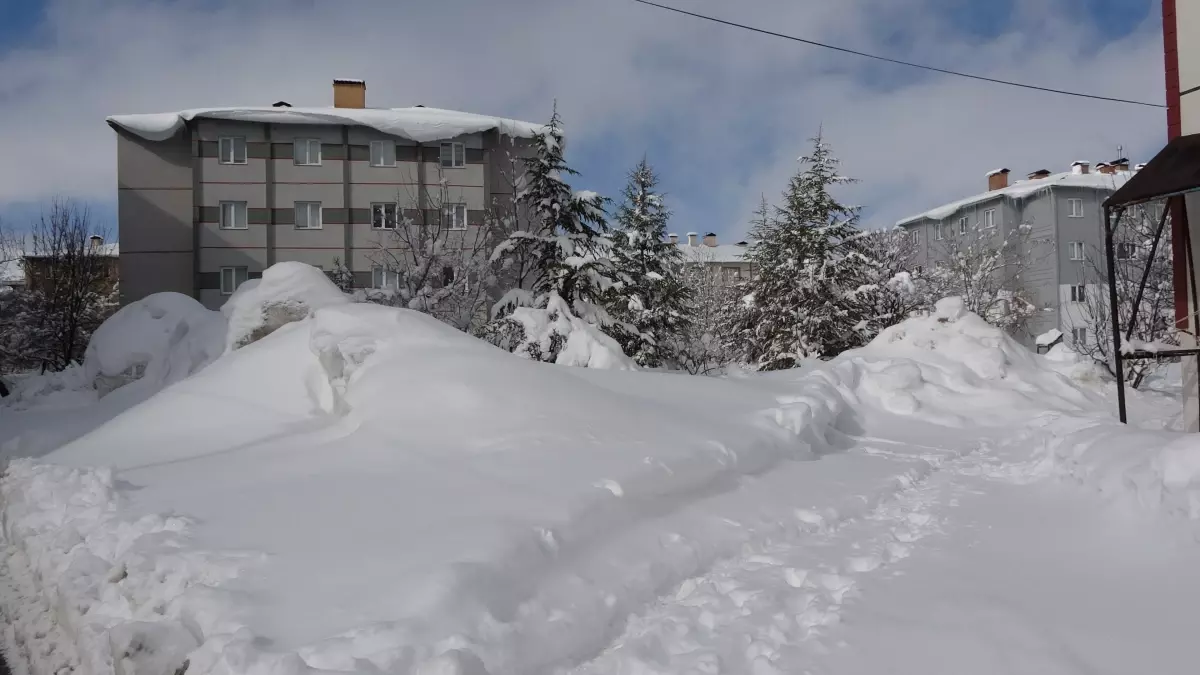 Bitlis\'te Karla Mücadele: 254 Yol Açıldı